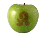 Logo Apfel grün mit Gravur