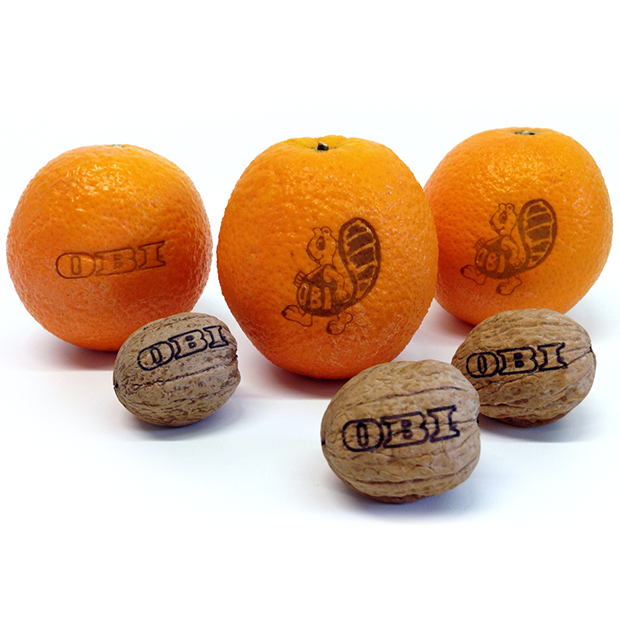 Oranges Walnuts Fruits With Logo