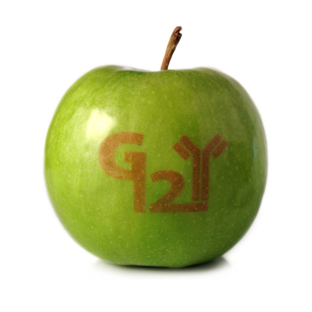 Apple Green Granny Smith With Logo