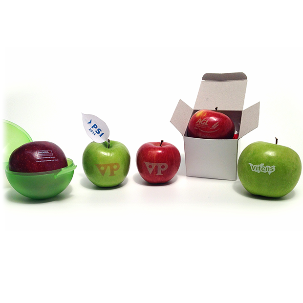 Logo Apple With Logo Fruit